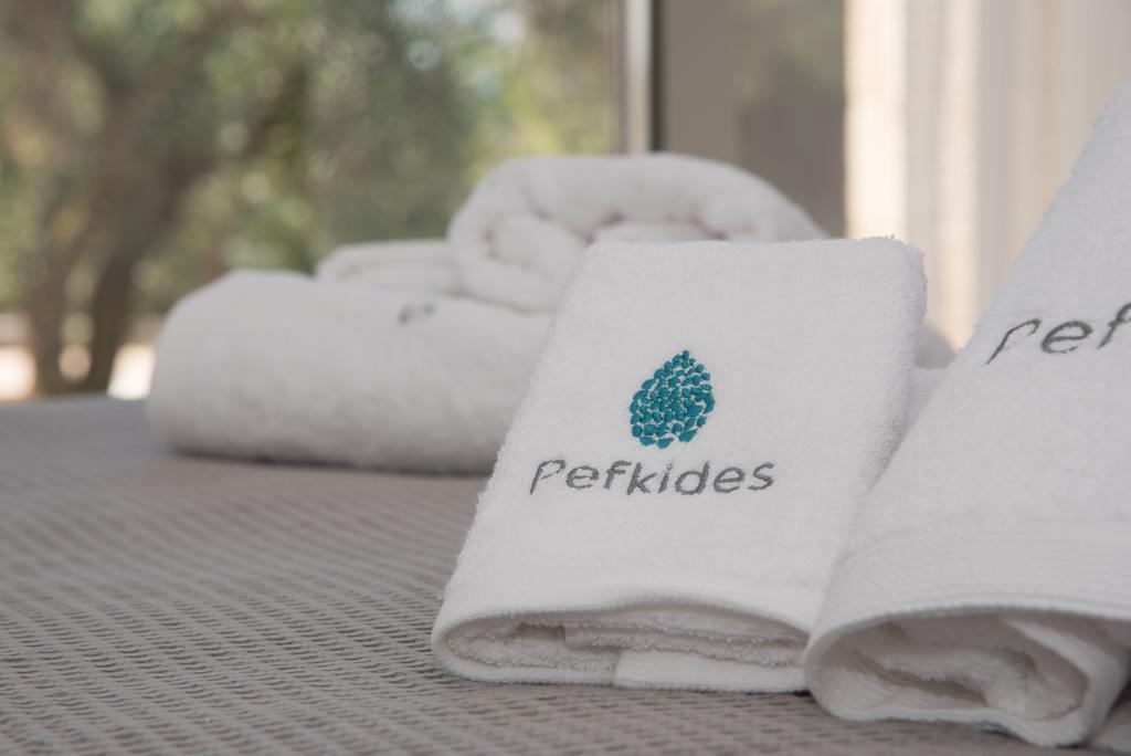 Apartament Pefkides Marathópolis Zewnętrze zdjęcie